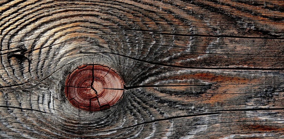 pexels photo 12565357 12565357 Detailed image of a weathered wooden surface highlighting natural patterns and knots.